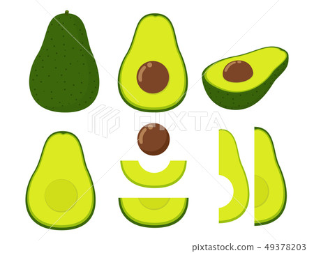 Vector illustration of set fresh avocado  49378203