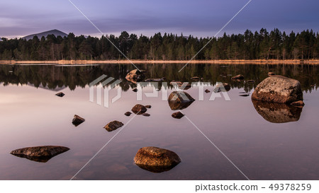 First light over Loch Morlich, Scotland 49378259