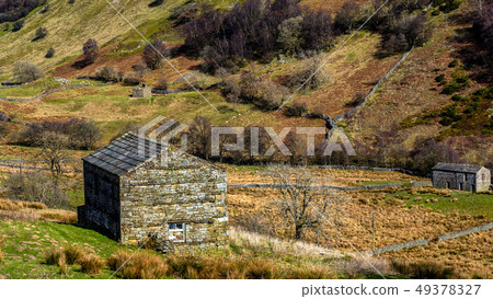 The Stone Barns in Swaldale The Stone Barns in Swaldale 49378327