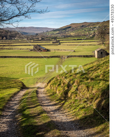 Old Barns in Swaledale Old Barns in Swaledale 49378330