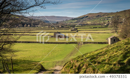 Old Barns in Swaledale 49378331