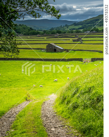 Old Stone Barns in Swaledale 49378332
