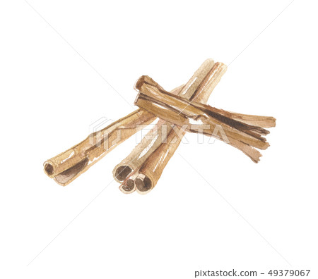 Cinnamon cinnamon Cinnamon cinnamon 49379067