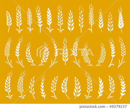 white hand drawn wheat ears icons set - Stock Illustration [49379237 ...