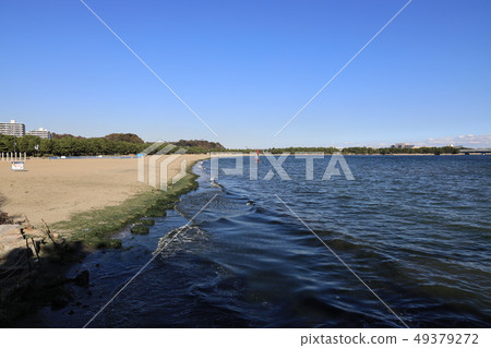 金澤區，橫濱市海公園的風景 49379272