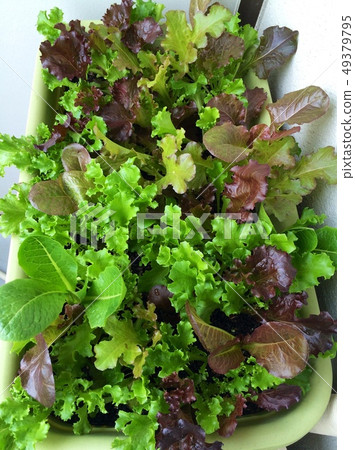 Baby leaf mix 49379795