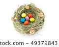 colored easter quail eggs in grass nest with bumps 49379843