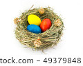 colored easter eggs in grass nest with bumps 49379848
