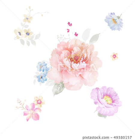 Beautiful watercolor peony flower 49380157
