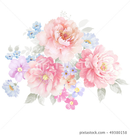 漂亮的水彩牡丹花卉 49380158