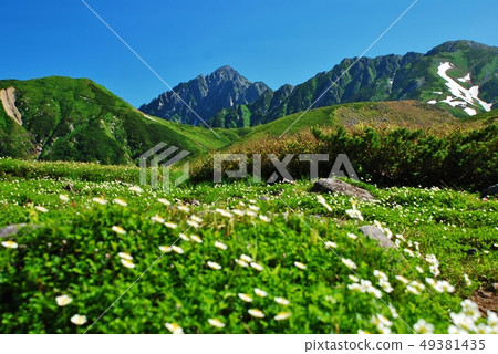Northern Alps / Tateyama summer scenery 49381435