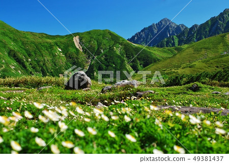 Tateyama / Kurobe Alpen summer scenery Tateyama / Kurobe Alpen summer scenery 49381437