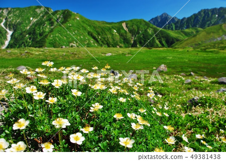Chingruma Group Tateyama / Kurobe Alpen Chingruma Group Tateyama / Kurobe Alpen 49381438