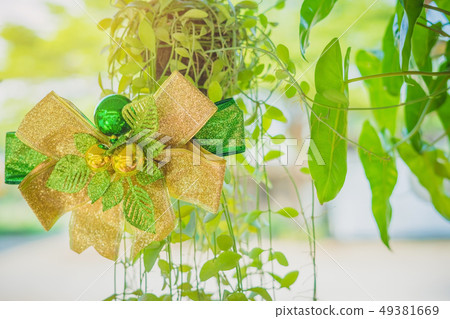 A green ribbon with small ball for decorate A green ribbon with small ball for decorate 49381669