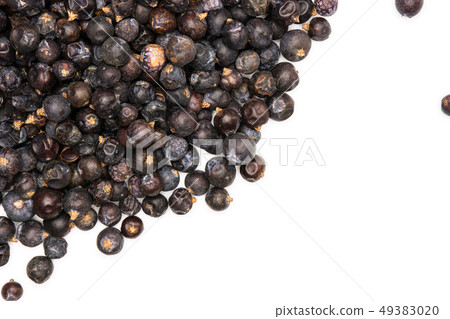 Dry juniper berries isolated on white Dry juniper berries isolated on white 49383020