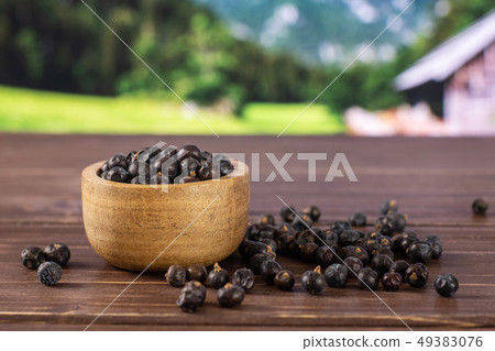 Dry juniper berries with country nature 49383076