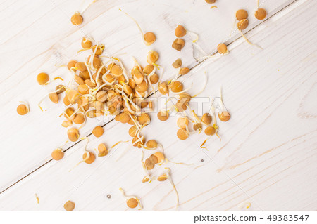Lentil sprouts on grey wood Lentil sprouts on grey wood 49383547