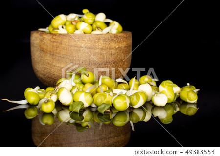 Mungo bean sprouts isolated on black glass Mungo bean sprouts isolated on black glass 49383553