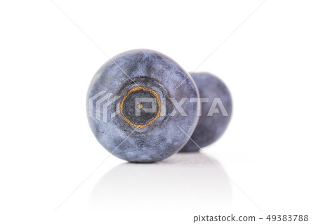Fresh sweet blueberry isolated on white Fresh sweet blueberry isolated on white 49383788