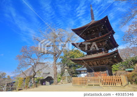 [長野縣]晴朗天氣下的前山寺三層寶塔和本堂 49385346