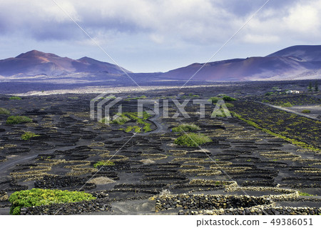 The Wine Valley of La Geria - Lanzarote, Spain 49386051