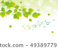 Background Green Note Fresh Green 49389779