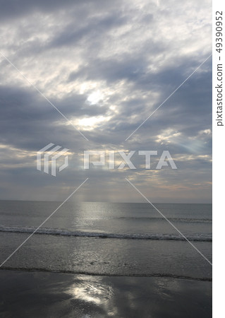 在陽光的陽光下 在陽光的陽光下 49390952