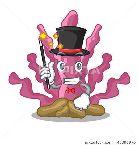 Magician pink seaweed in the mascot aquarium 49390970