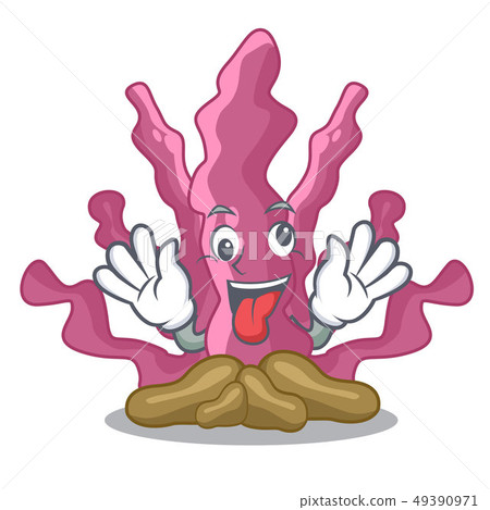 Crazy pink seaweed in the mascot aquarium 49390971