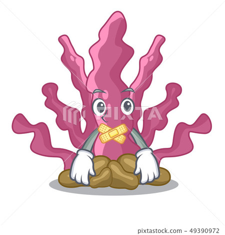 Silent pink seaweed in the mascot aquarium Silent pink seaweed in the mascot aquarium 49390972
