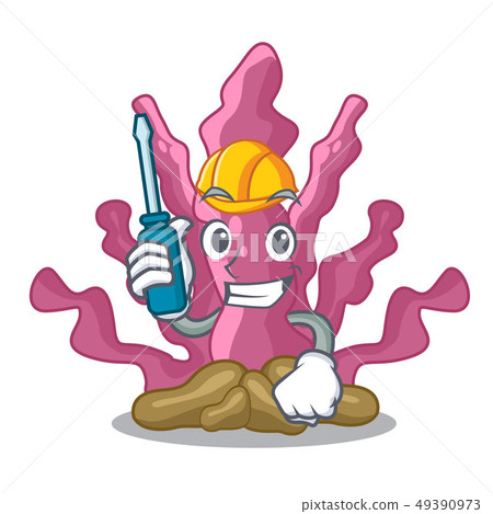 Automotive pink seaweed in the mascot aquarium Automotive pink seaweed in the mascot aquarium 49390973