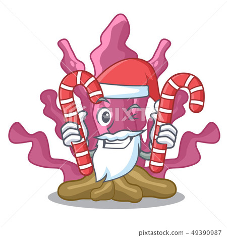 Santa with candy pink seaweed in the mascot aquarium 49390987
