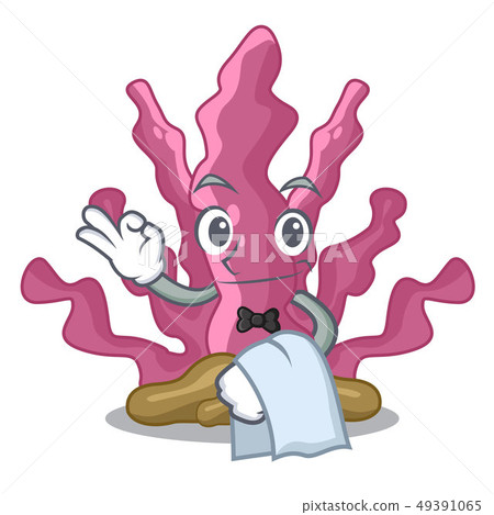 Waiter pink seaweed isolated in the cartoon Waiter pink seaweed isolated in the cartoon 49391065