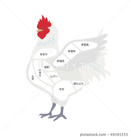 Chicken Illustration Stock Illustration