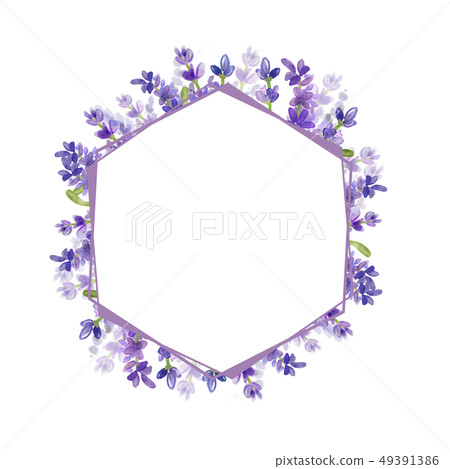 Lavender floral frame.- Wedding, advertisement, cover Lavender floral frame.- Wedding, advertisement, cover 49391386