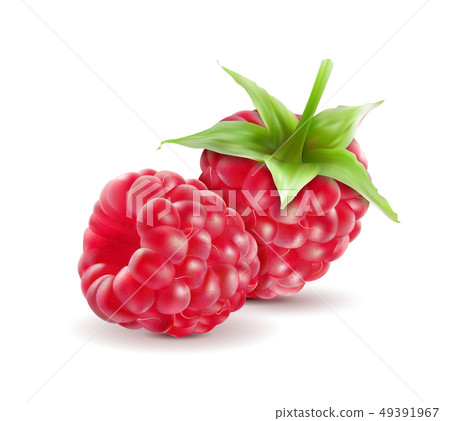 Realistic Raspberry, Fresh Sweet Fruit, Isolated on white Background, Hand Drawn Vector 3D Realistic Raspberry, Fresh Sweet Fruit, Isolated on white Background, Hand Drawn Vector 3D 49391967