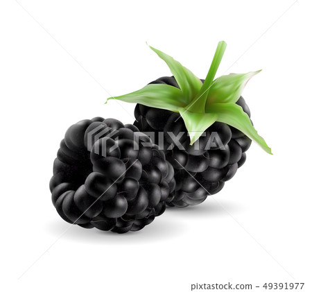 Sweet blackberries on the transprent background. Sweet blackberries on the transprent background. 49391977