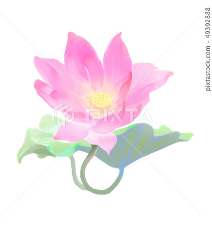 Lotus / Lotus 49392888