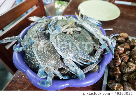 blue swimming crab in a bolw