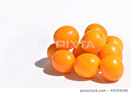 Kinkan Kinkan 49393046