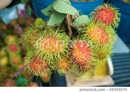 fresh Rambutans fruit fresh Rambutans fruit 49393074