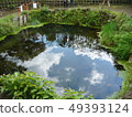 A pond 49393124