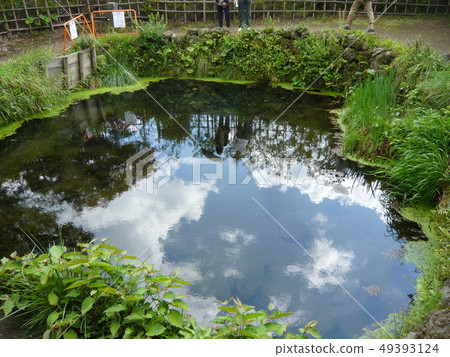 A pond A pond 49393124