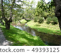 Daytime Ogawa 49393125