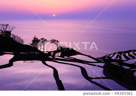 [Ishikawa Prefecture] Evening view of Shiromai Senmaida 49393561