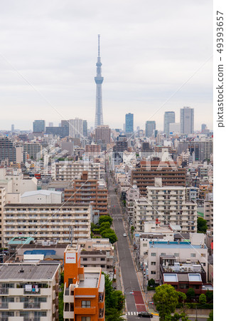 東京的鳥瞰圖，摩天大樓，鳥瞰圖[東京天空樹] 49393657