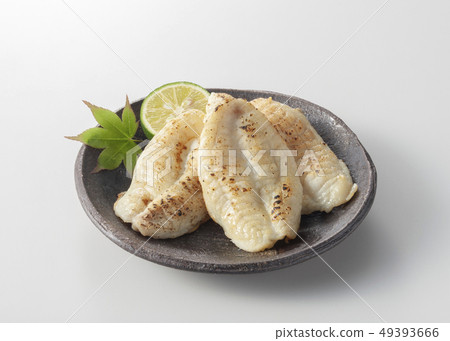 河豚過夜乾燥 49393666