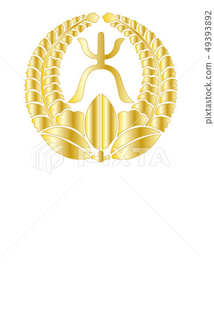 Warlords家庭黃金漸變Okubo Tadayo Warlords家庭黃金漸變Okubo Tadayo 49393892