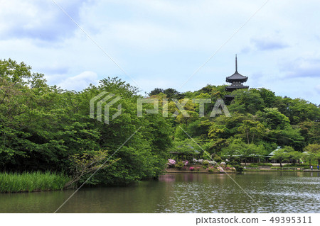 Sankeien Garden Sankeien Garden 49395311