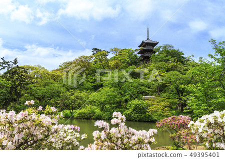 Sankeien Garden 49395401